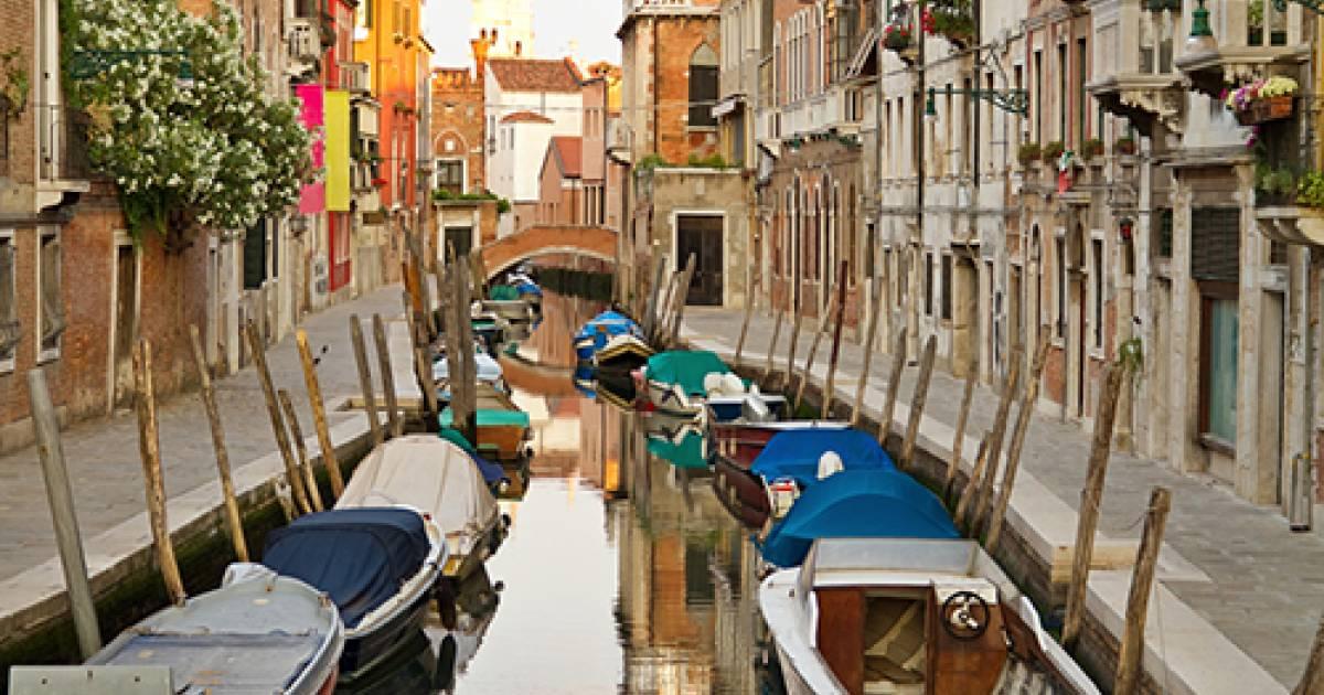 ドルソロールのリーフレット