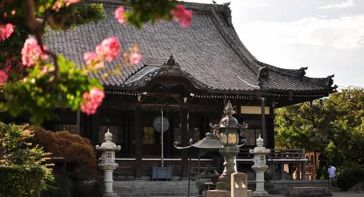 健康運アップにご利益がある鎌倉の神社仏閣探訪 関東屈指のパワースポットでパワーチャージ Taptrip