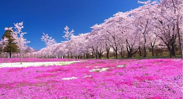 群馬県赤城山 周辺エリアの絶景自然美スポット特集 一生の記憶に残したい至極の景色 Taptrip