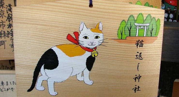 猫好き必見 日本全国の猫神社４選 東京 京都 徳島 鹿児島 Taptrip