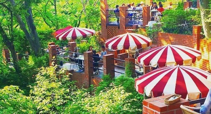 鎌倉の天空カフェ 樹ガーデン が大人気 まるで天空の城ラピュタ Taptrip