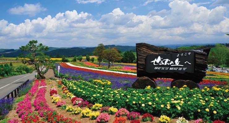 色とりどりの花畑 北海道 丘のまち美瑛の絶景スポットをご紹介します Taptrip
