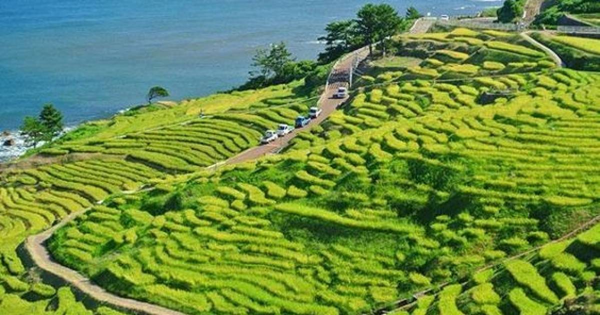 画像5枚目： 夏の石川県北部を満喫♪自然と伝統の能登半島をご紹介｜ TapTrip