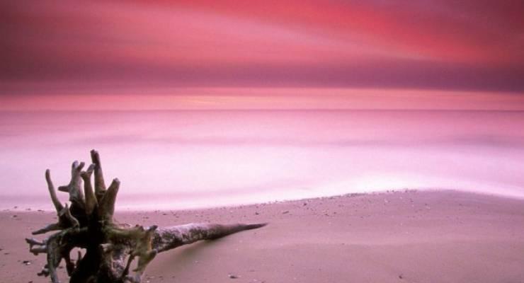 ピンクやグリーンのビーチ 世界のすごい色ビーチまとめ Taptrip