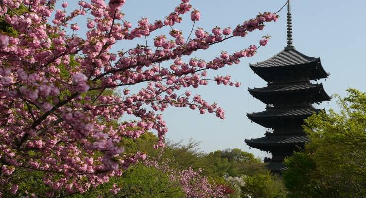 京都のシンボル 東寺の五重塔を観光前に徹底解剖 Taptrip