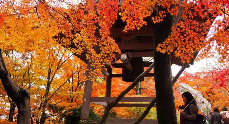 綺麗な時期に紅葉を観たい 京都 嵐山の紅葉 ピークはいつ Taptrip
