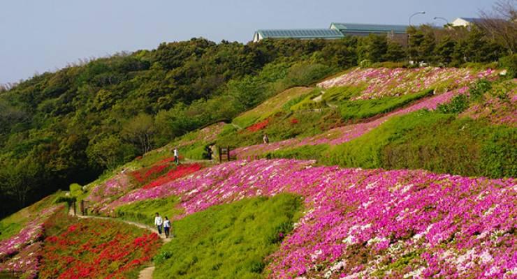 逗子 葉山で自然を満喫できるおすすめ観光スポット3選 Taptrip