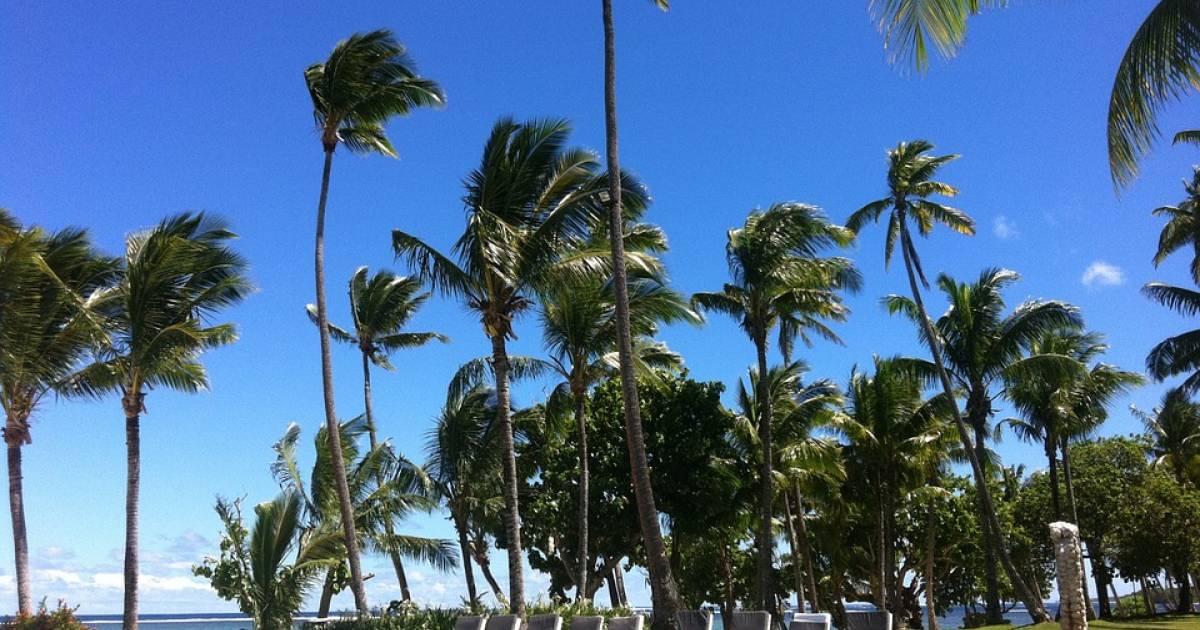 画像11枚目： フィジー基本情報 【言語・お役立ち会話編】｜ TapTrip