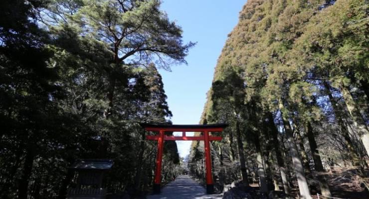 霧島でおすすめのお土産15選 西郷どんゆかりの地で人気アイテムを手に入れよう Taptrip