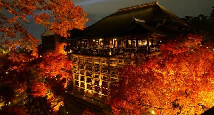 京都ひとり旅でおすすめの人気観光スポット15選 Taptrip