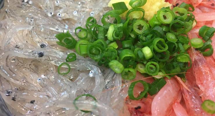 静岡で食べられる絶品生しらす丼top22 お手頃価格からお寿司屋さんまでご紹介 Taptrip