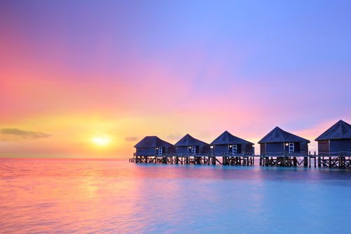 1島1リゾート！憧れのモルディブで美しい海を独占！