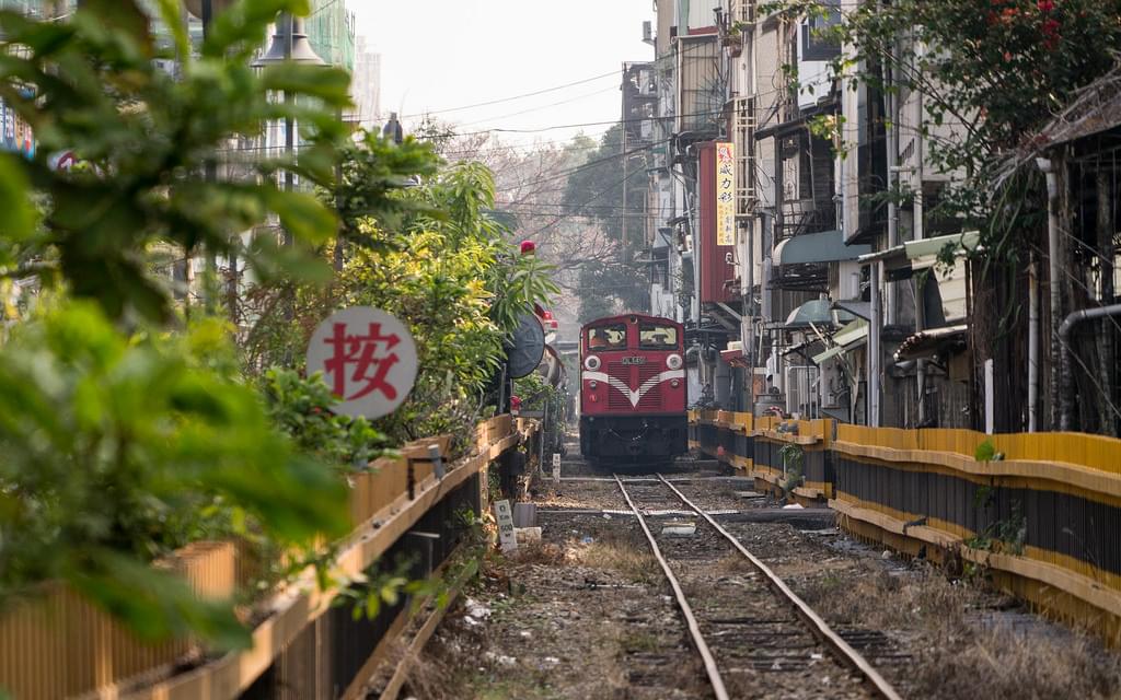 台湾の神秘の森を歩く！阿里山で楽しむ登山鉄道と大自然の森