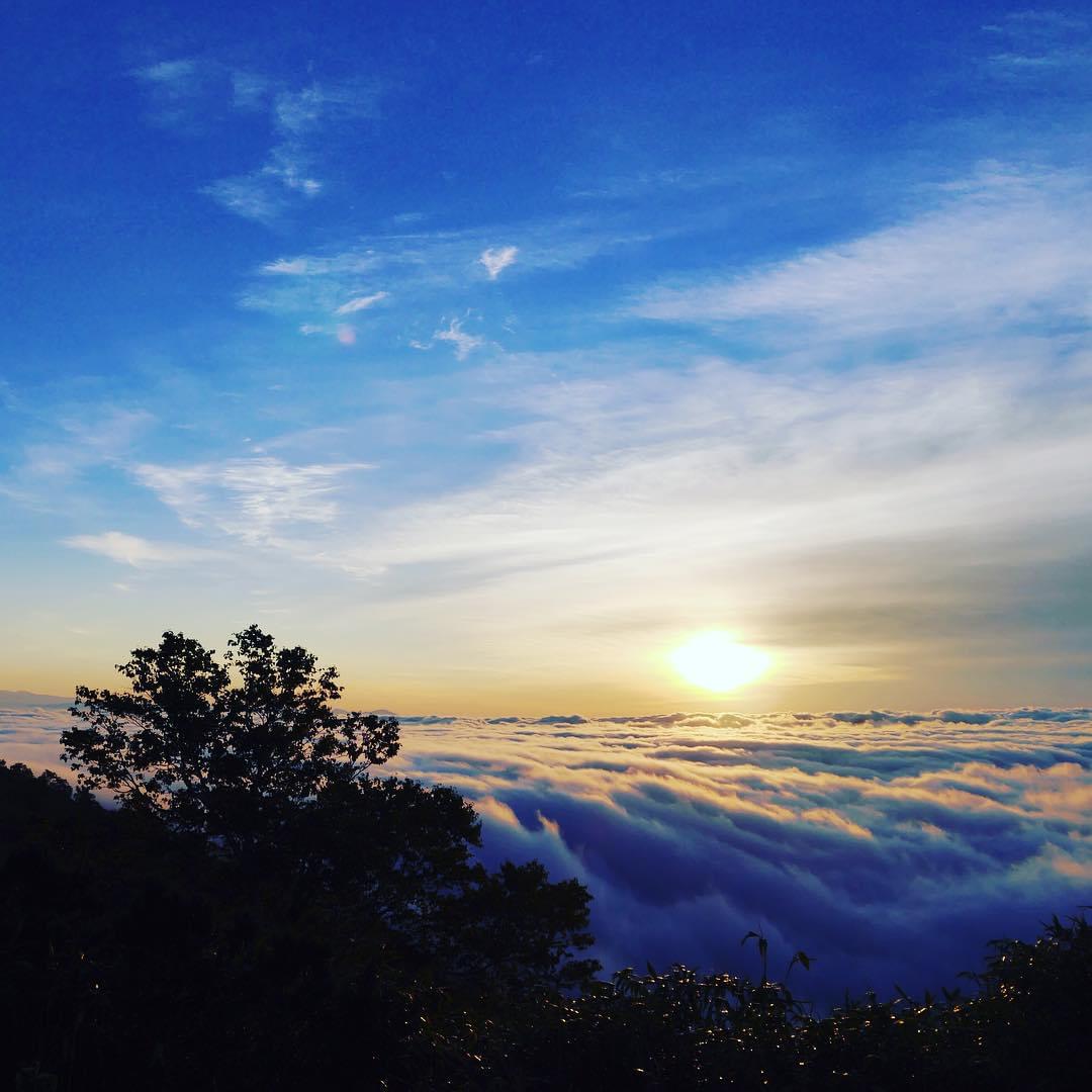【北海道】ゴンドラで天空へ！トマムの絶景・雲海テラスでティータイム