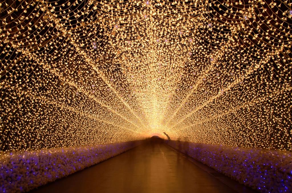 三重県桑名市「なばなの里」で世界一美しいイルミネーションを！光と花の迫力の融合