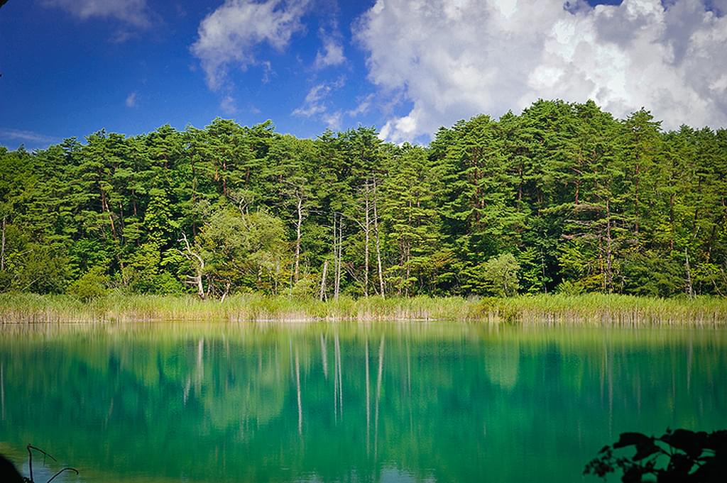福島の観光スポット「五色沼」は絶対行くべき絶景観光スポット！