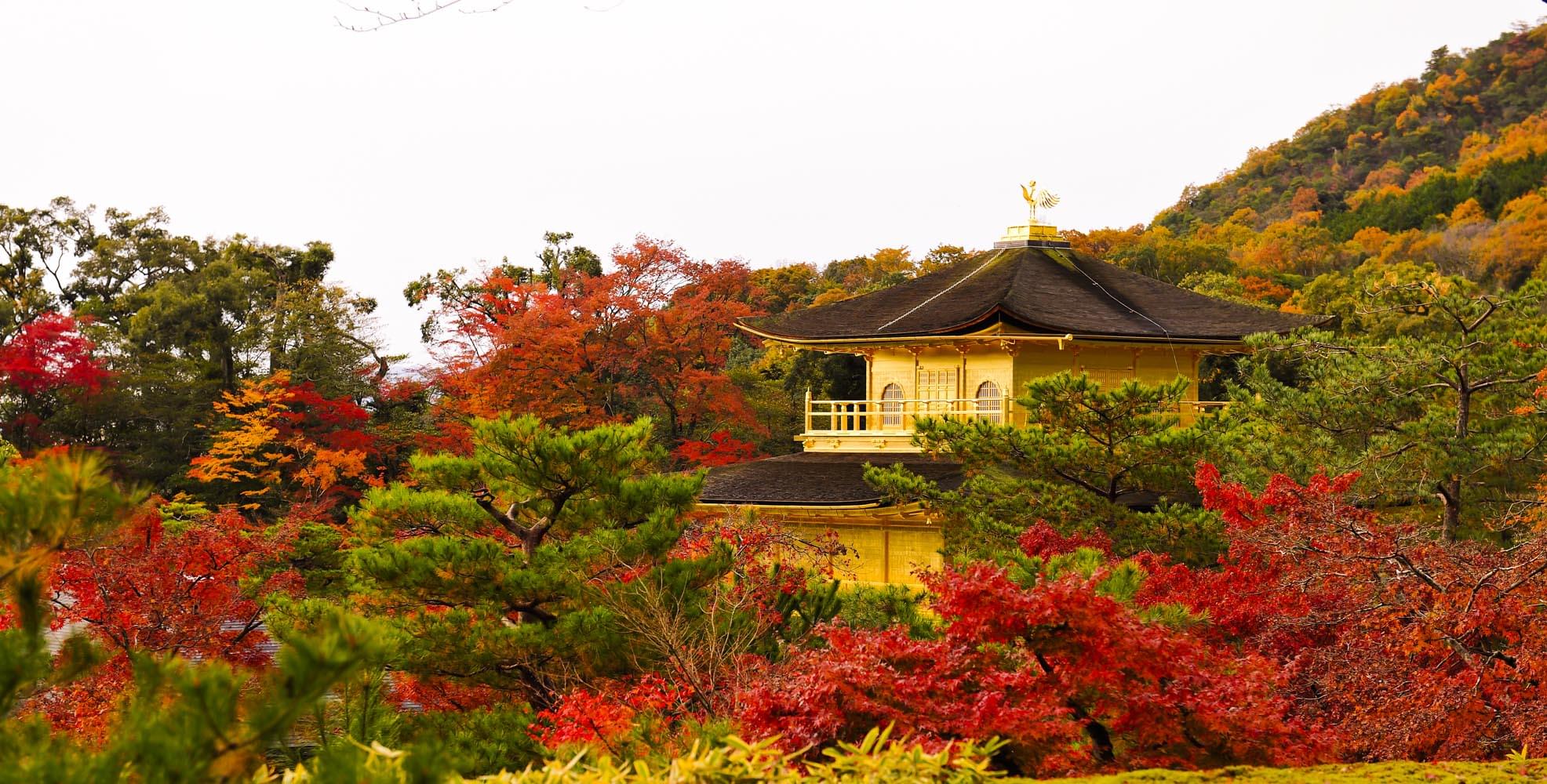 京都で紅葉をみるなら絶景ポイントで！厳選おすすめ紅葉スポット特集！