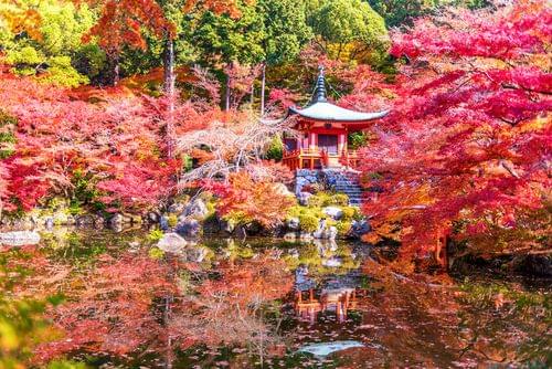 【京都】醍醐周辺で訪れたい観光スポット５選！秀吉や小野小町も愛でた京の極み