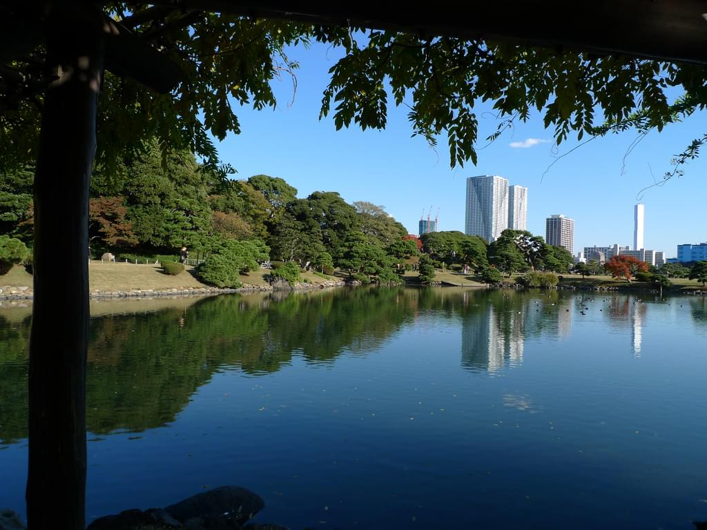 東京にある素晴らしい日本庭園＆広い公園５選！紅葉狩りやお花見にも！