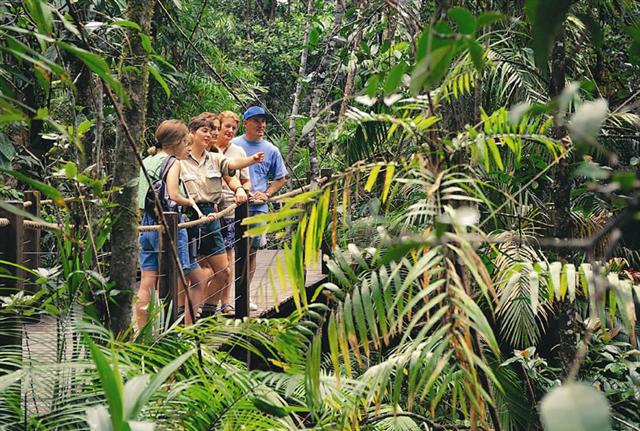 ケアンズにある世界遺産！熱帯雨林「キュランダ」の完璧ガイド