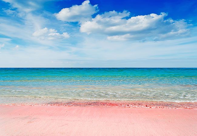 まるで夢のよう！死ぬまでに見たい世界のピンクビーチ