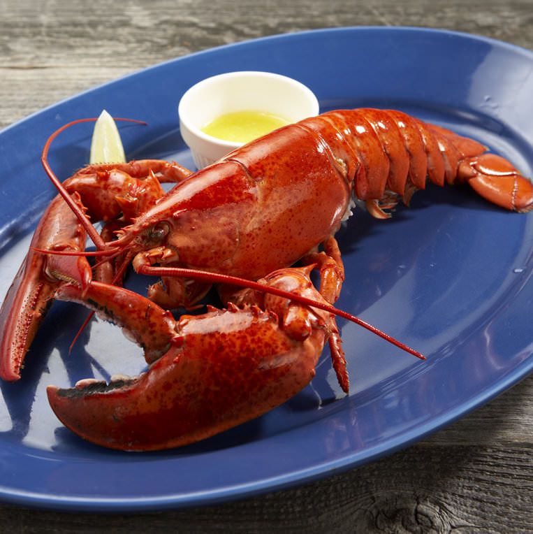 【表参道】ニューヨーク発Luke's Lobster！話題のロブスターロールが日本初上陸！
