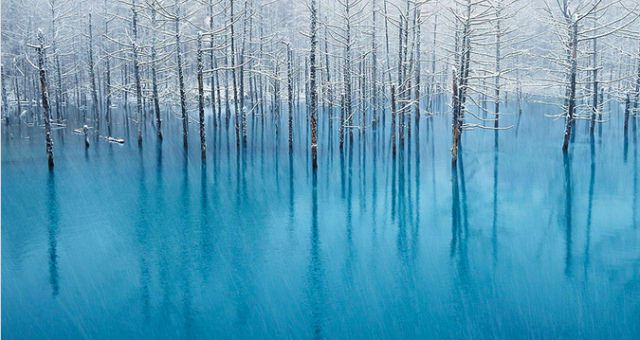 冬だけしか見れない絶景を堪能！日本の美しい冬景色5選