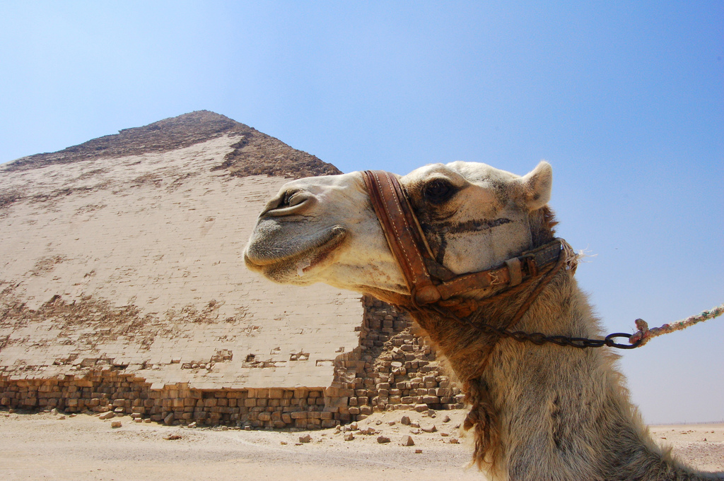 エジプト・ダハシュールで個性的なピラミッドを楽しむ！