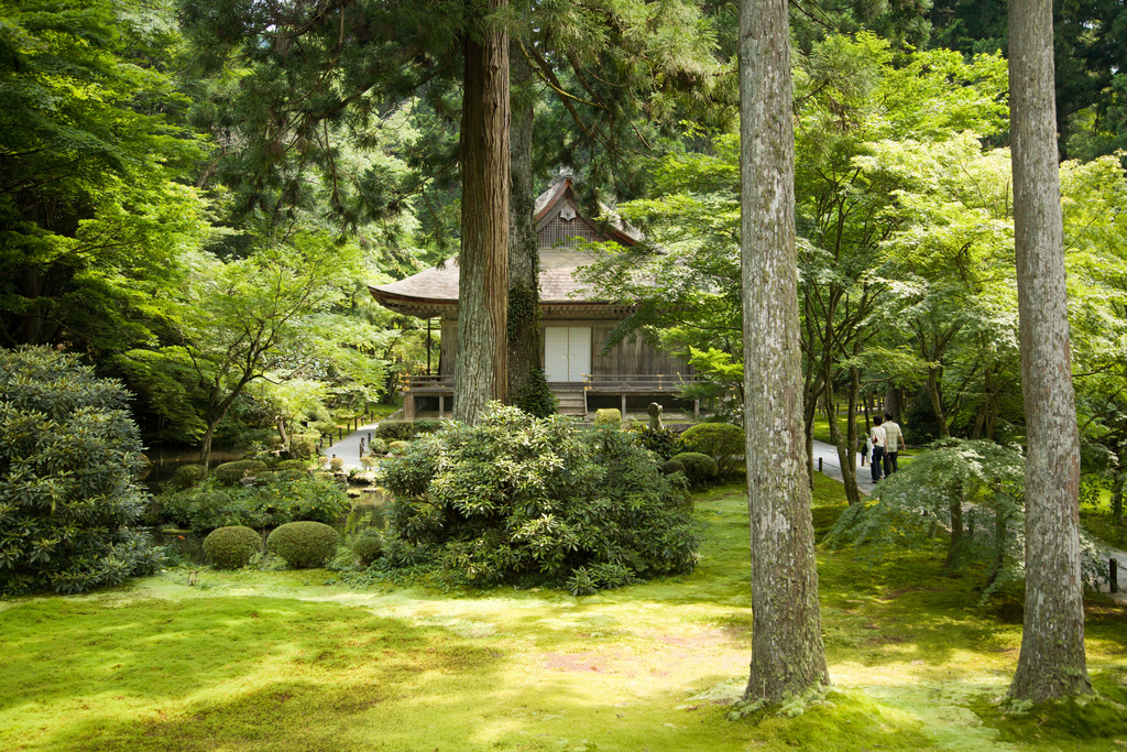 平家物語ゆかりの京都・大原！名庭園を巡る癒しトリップ