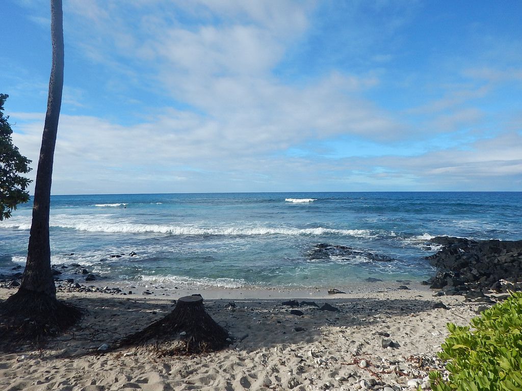 ハワイ・オアフ島でおすすめビーチといえばハレイワ＆ノースショア！サーファーの聖地を訪ねよう