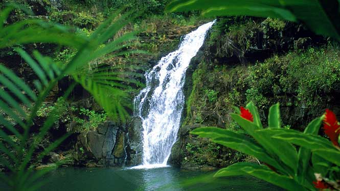 ハワイ・オアフ島で絶景ハイキング！アウトドア派にぴったりな自然満喫プラン