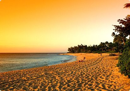 ハワイに来たらやっぱり行きたい！！オアフ島の極上ビーチ6選