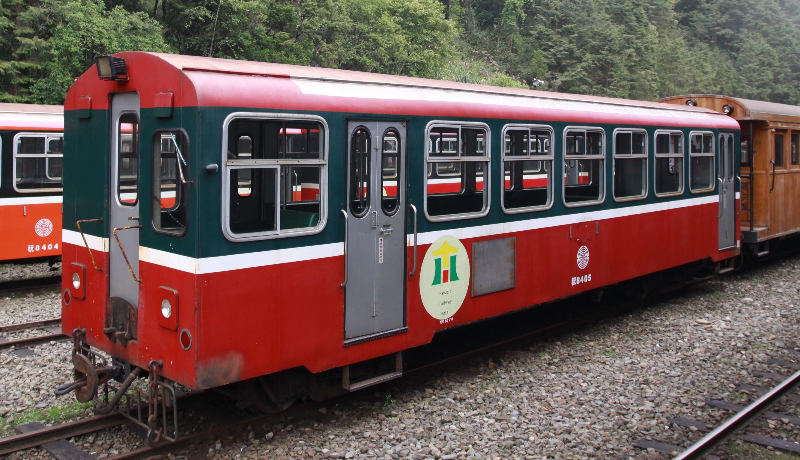 台湾の神秘の森を歩く！阿里山で楽しむ登山鉄道と大自然の森