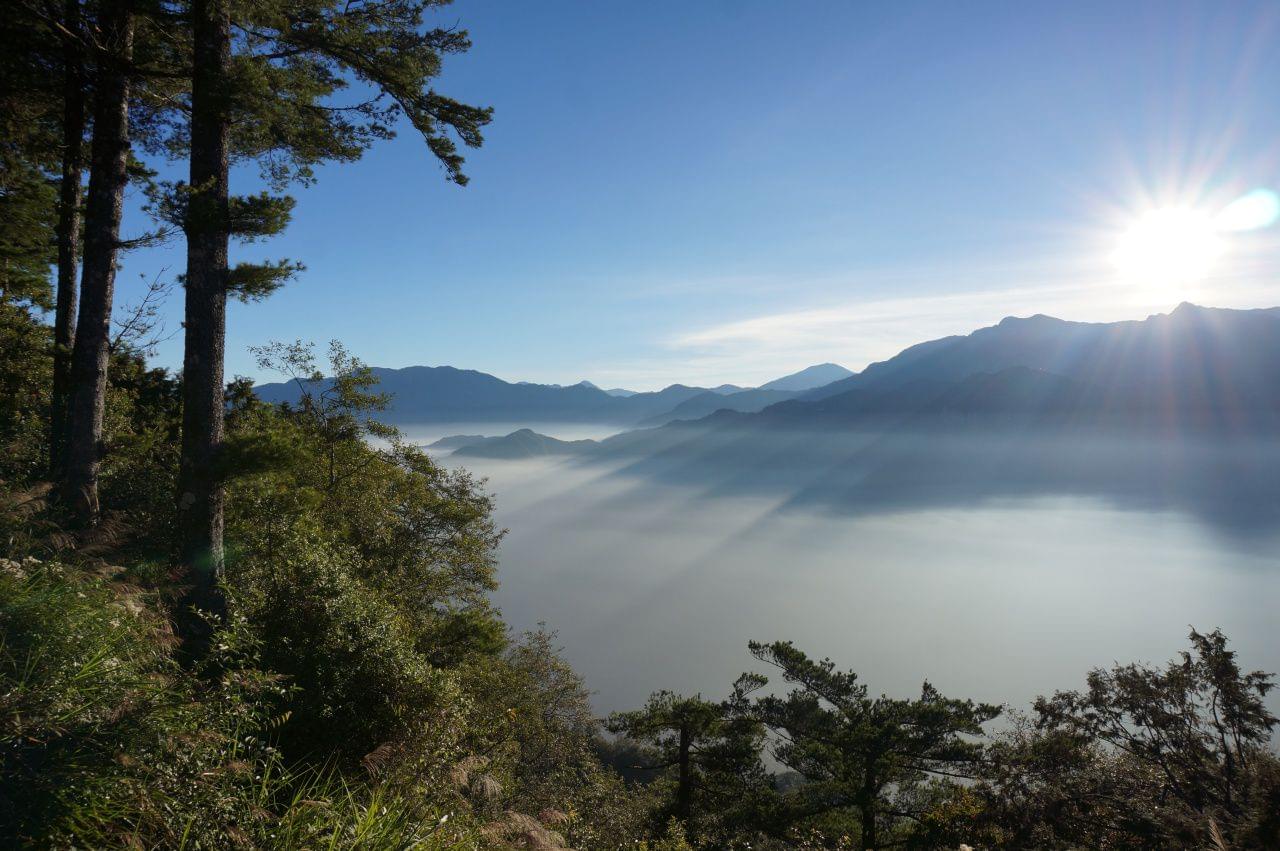 台湾の神秘の森を歩く！阿里山で楽しむ登山鉄道と大自然の森