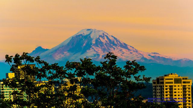 まさに天空の花園！ワシントン州一の大絶景を満喫できるマウント・レーニア国立公園