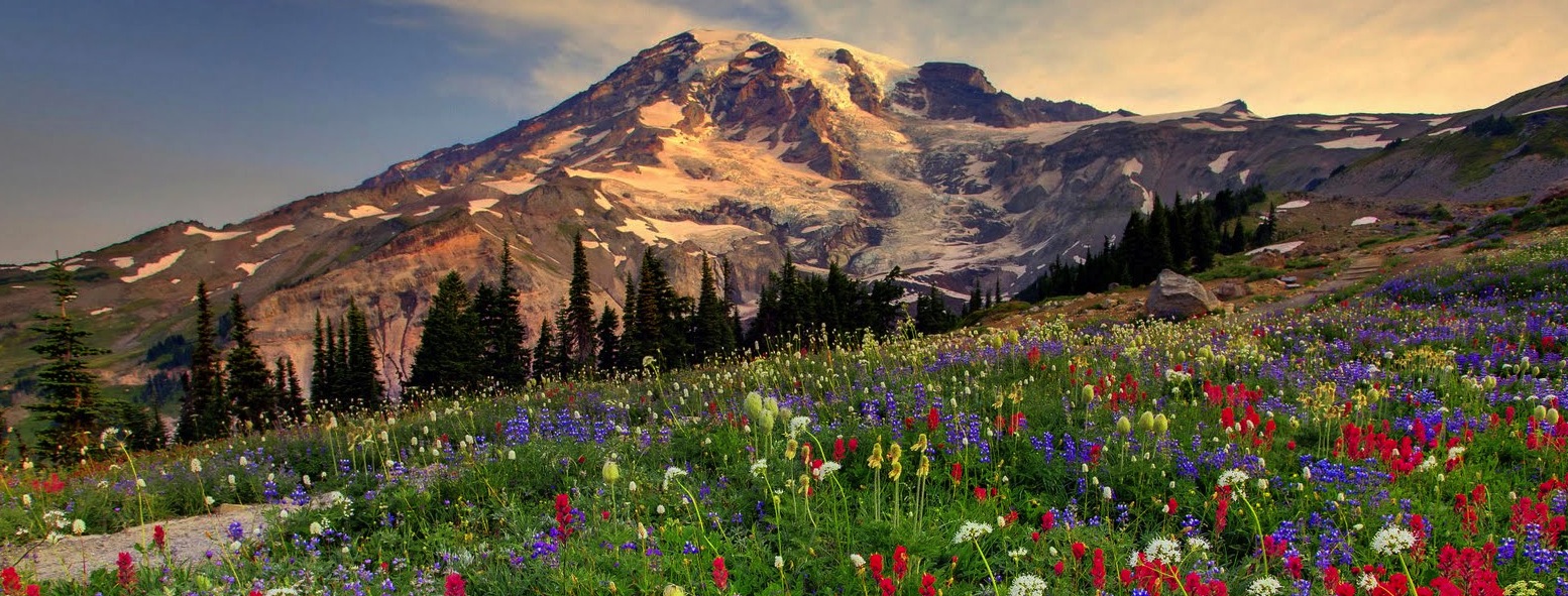 まさに天空の花園！ワシントン州一の大絶景を満喫できるマウント・レーニア国立公園