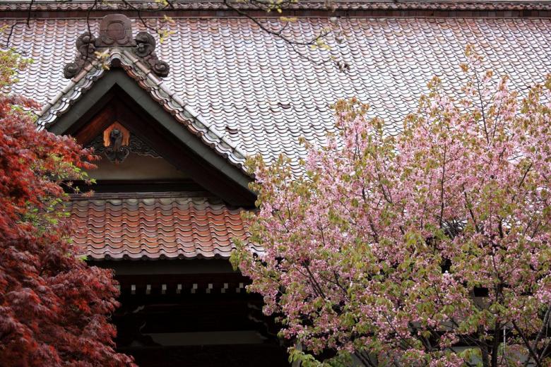 報恩寺の本堂です。