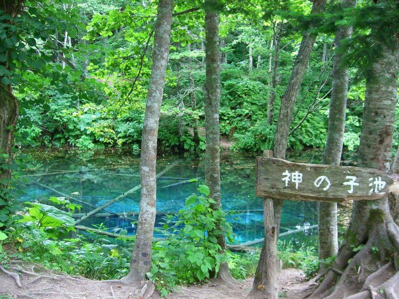 北海道のパワースポット神の子池特集！中国世界遺産五彩池に瓜二つ、美しき自然の造形にうっとり癒されよう