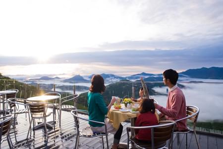 【北海道】ゴンドラで天空へ！トマムの絶景・雲海テラスでティータイム
