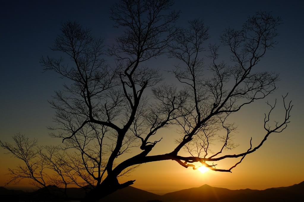 【北海道】ゴンドラで天空へ！トマムの絶景・雲海テラスでティータイム