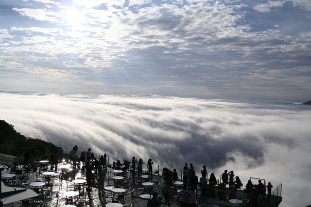 【北海道】ゴンドラで天空へ！トマムの絶景・雲海テラスでティータイム