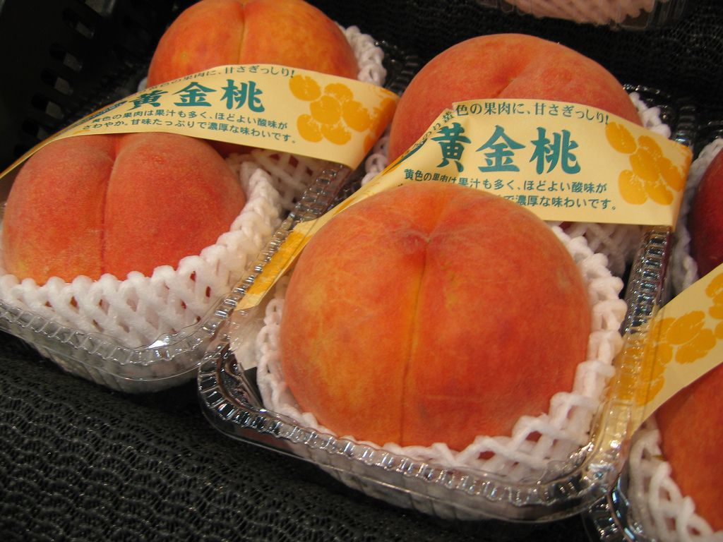 岡山県でおすすめの人気桃狩り農園4選！桃太郎で有名な桃の産地でジューシー獲れたてピーチをゲット