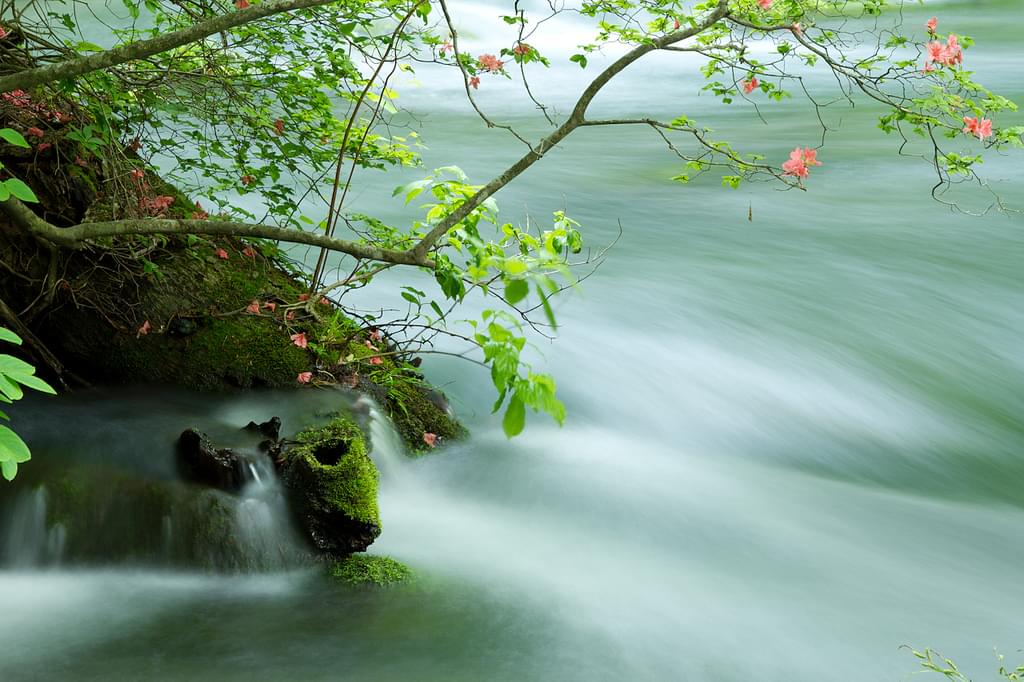 青森県の人気観光名所・十和田湖から行く奥入瀬渓流の美しさ特集！大自然に癒される散策プラン