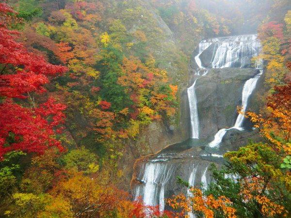 日本三大名瀑・袋田の滝！茨城の壮大な絶景はまるでアナ雪の世界！