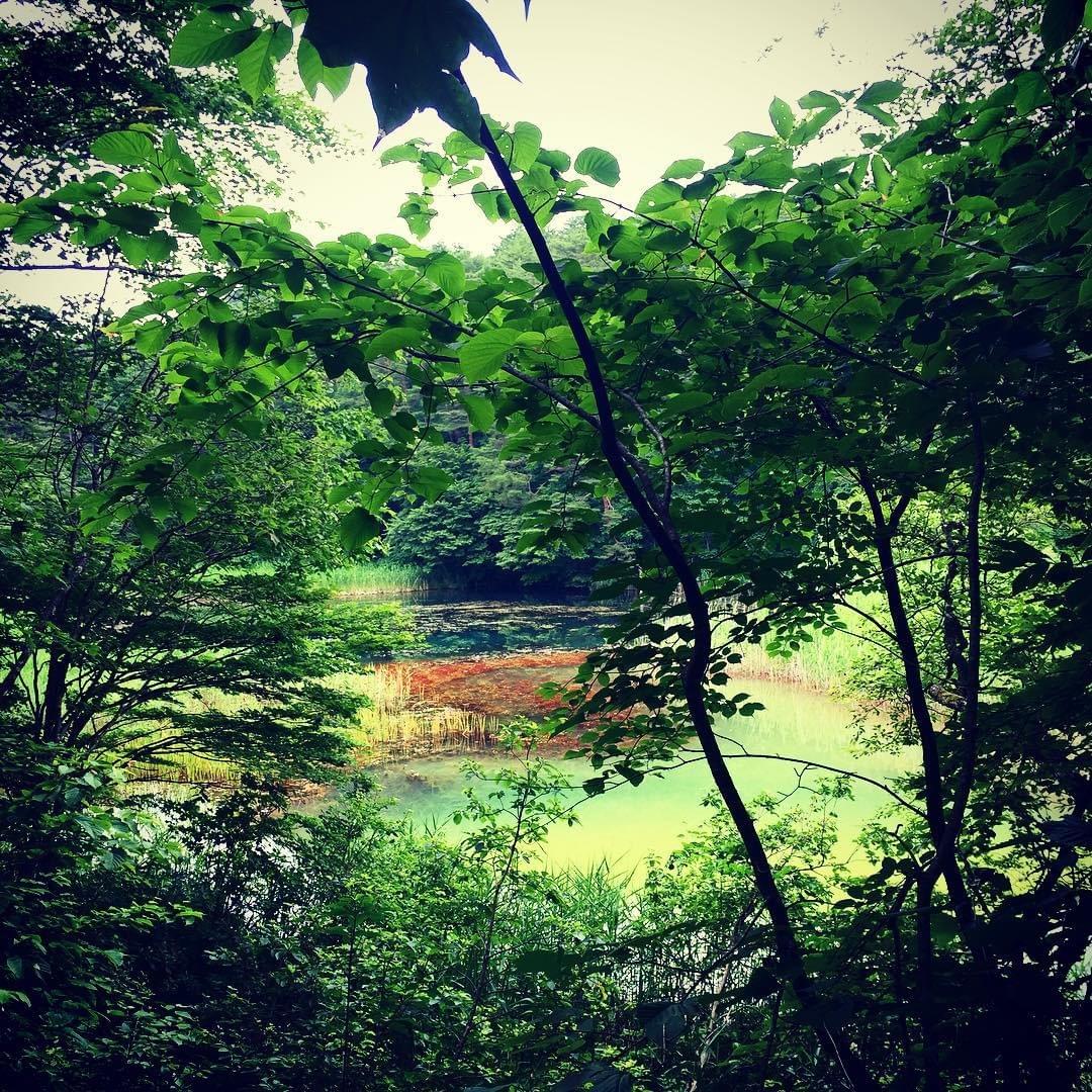 福島五色沼の見どころ徹底解析！日本のロッキー山脈のふもとで絶景を