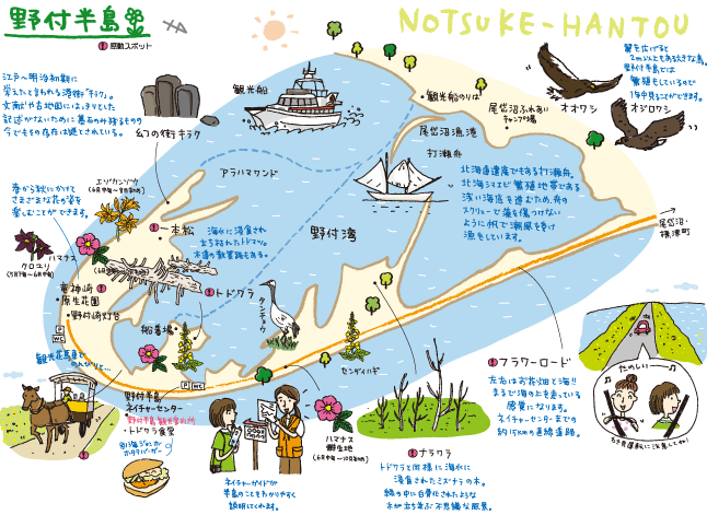 北海道・野付半島の絶景トドワラ！この世の果てと楽園が共存する不思議の砂島