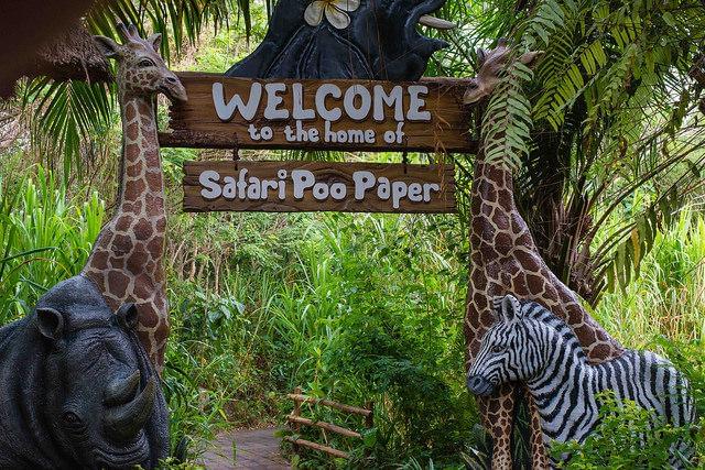 バリ島の動物園やサファリなどでキュートな動物たちと触れ合おう！