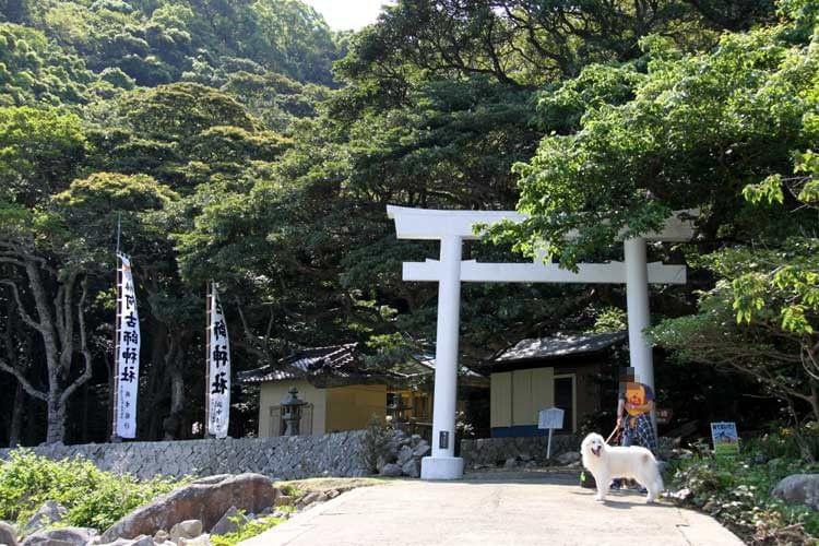 三重県の絶景ポイント楯ヶ崎！ハイキングしながら青の洞窟や断崖絶壁を堪能！