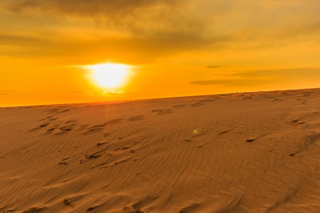 ラクダにも乗れる！鳥取砂丘でできることと美しい砂丘絶景まとめ