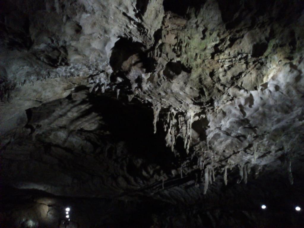 山口県の人気パワースポット「秋芳洞」天然記念物にも指定された鍾乳洞！